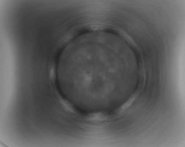 X0000114110074200910131351