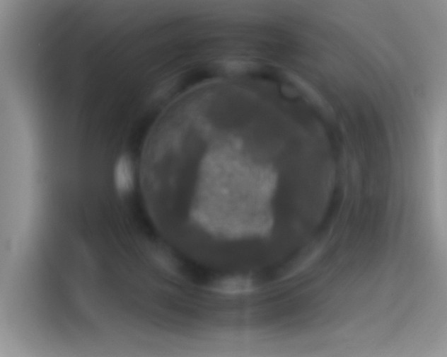 X0000114110075200910131351