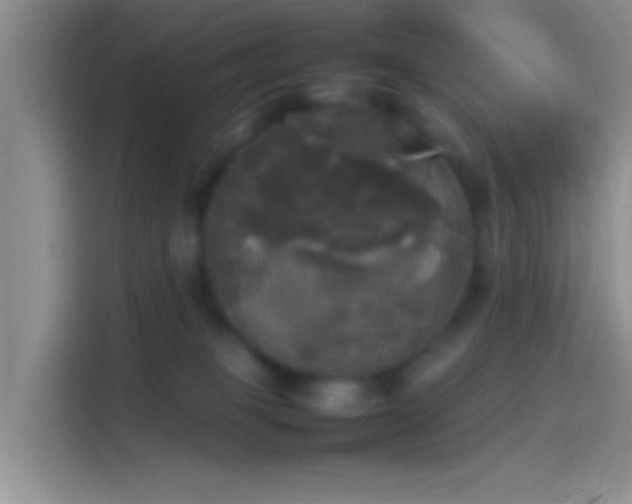 X0000114110085200910131351