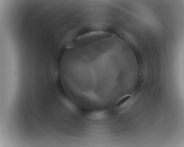 X0000114110086200910131351