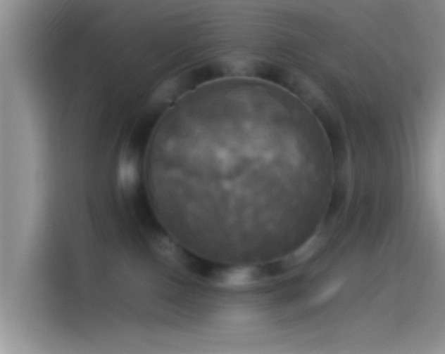 X0000114110090200910131351