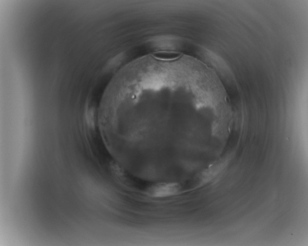 X0000114110093200910131351