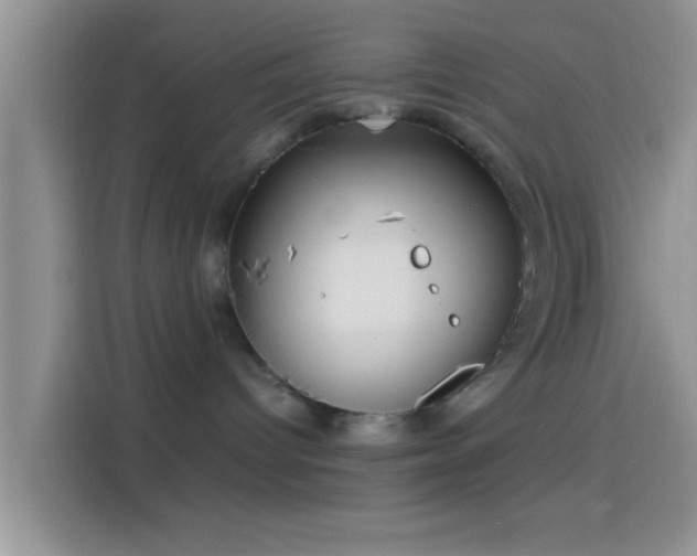 X0000114110096200910131351