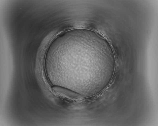 X0000114110097200910131351