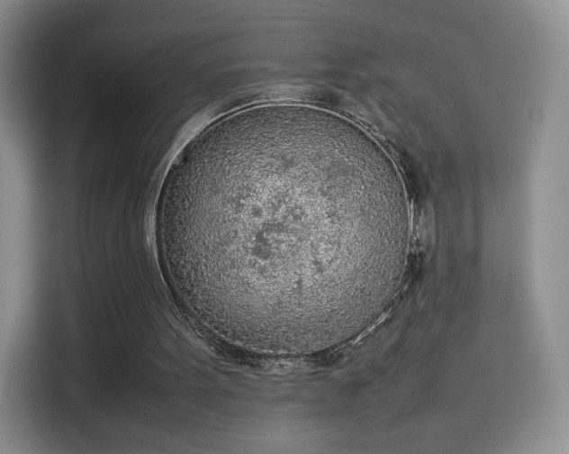 X0000114110099200910131351