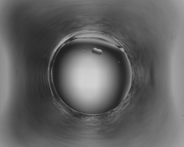 X0000114110100200910131351