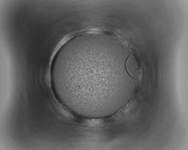 X0000114110102200910131351