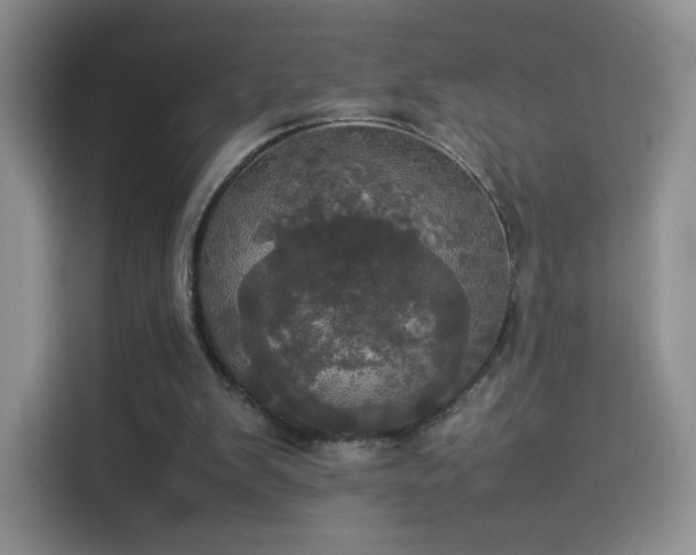 X0000114110103200910131351