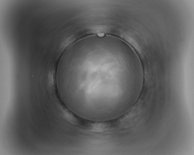 X0000114110105200910131351