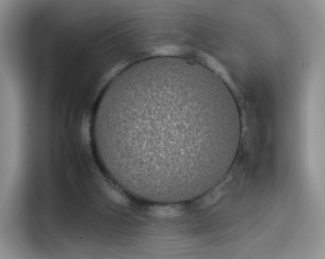 X0000114110106200910131351