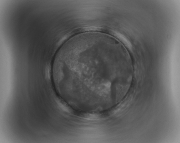 X0000114110107200910131351