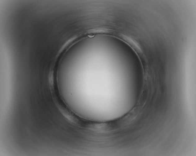 X0000114110108200910131351