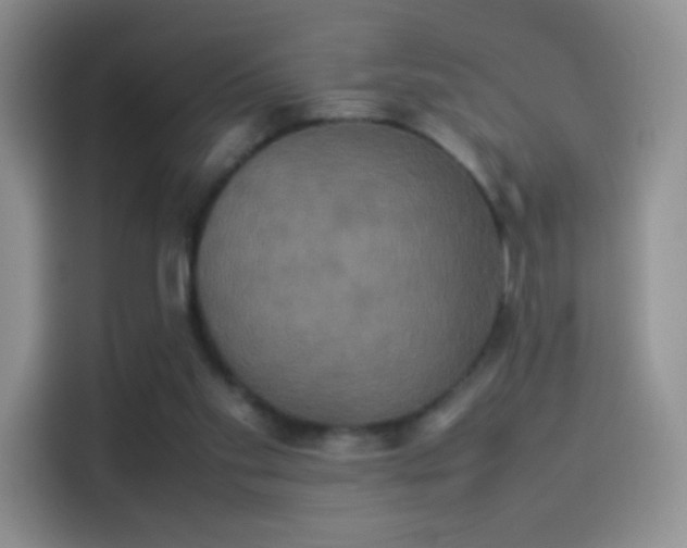 X0000114110109200910131351