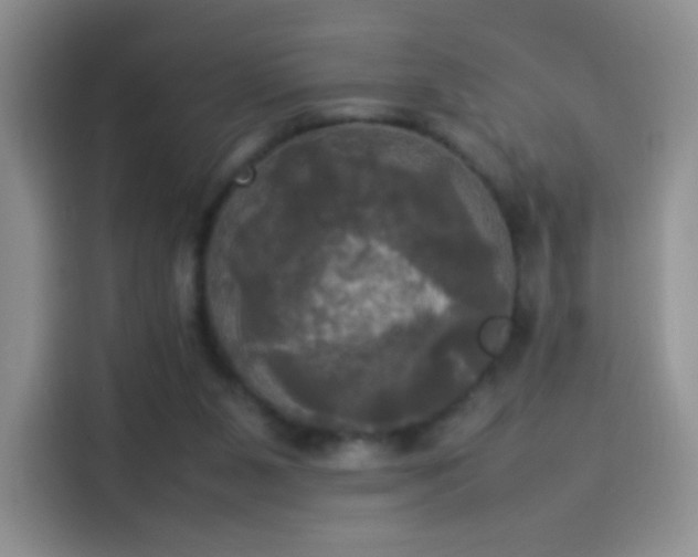 X0000114110111200910131351