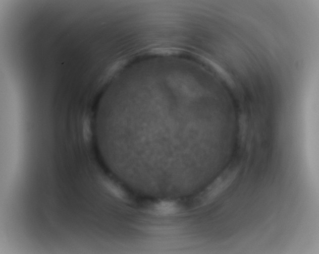 X0000114110114200910131351