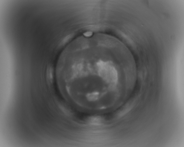 X0000114110115200910131351