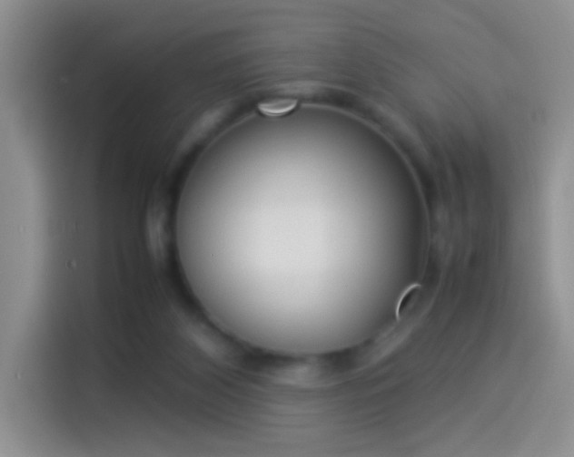 X0000114110116200910131350