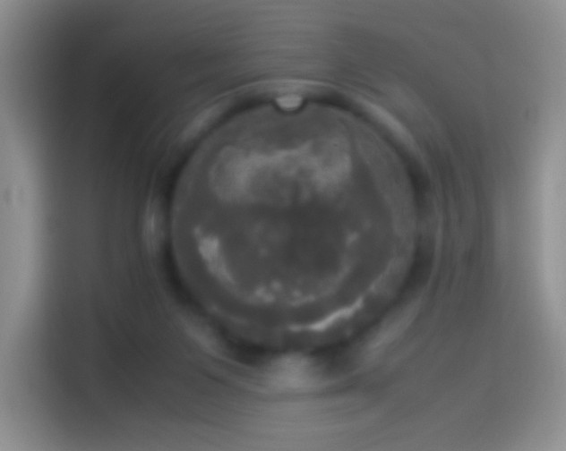 X0000114110119200910131350