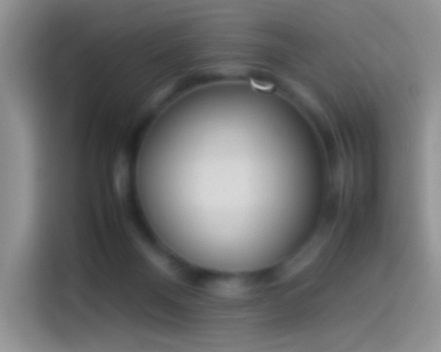 X0000114110120200910131350