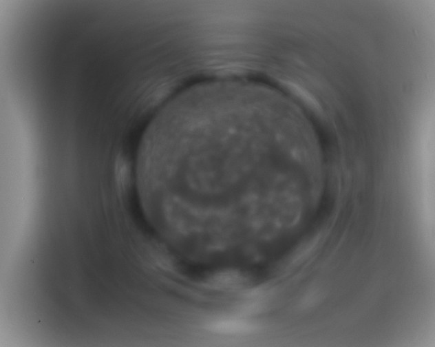 X0000114110123200910131350