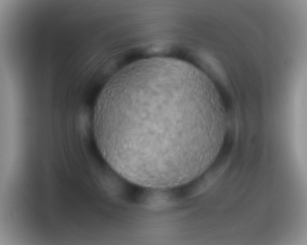 X0000114110127200910131350