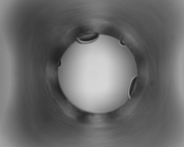 X0000114110129200910131350