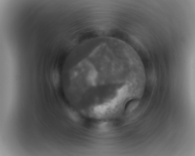 X0000114110130200910131350