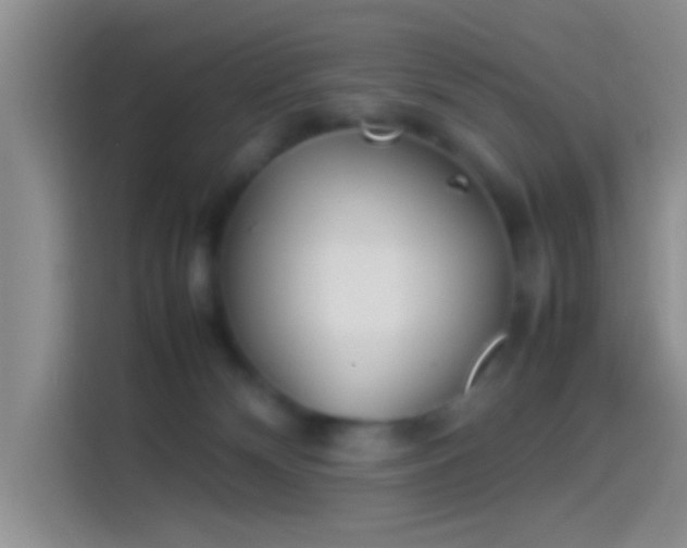 X0000114110132200910131350