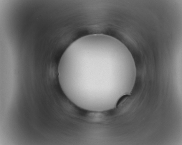 X0000114110133200910131350