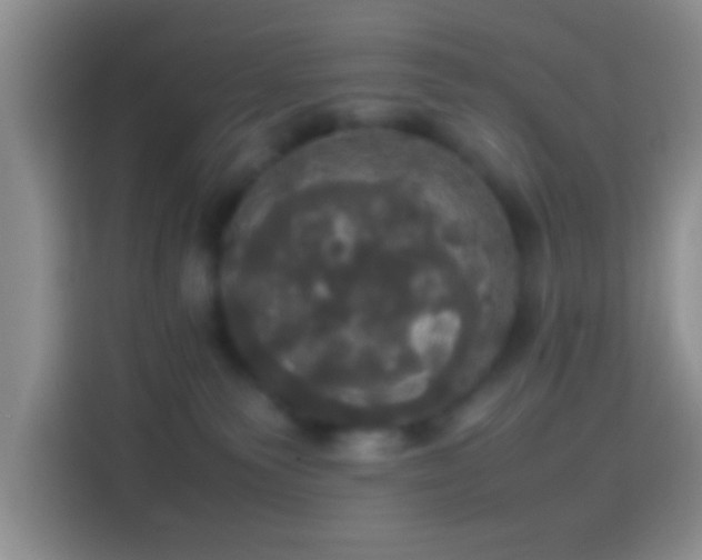 X0000114110135200910131350