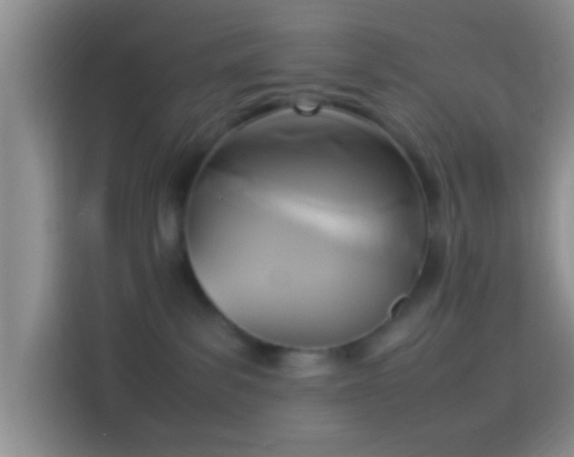 X0000114110139200910131350