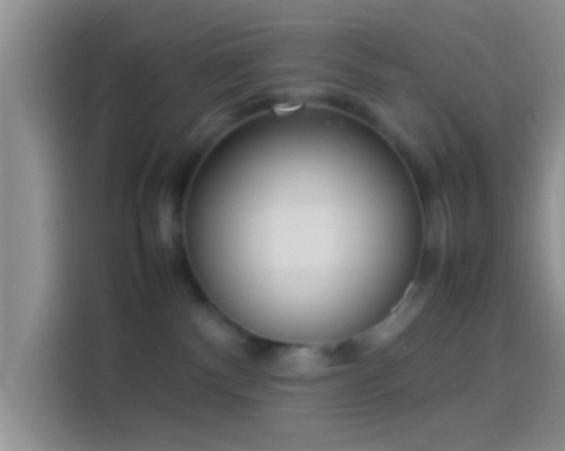 X0000114110140200910131350