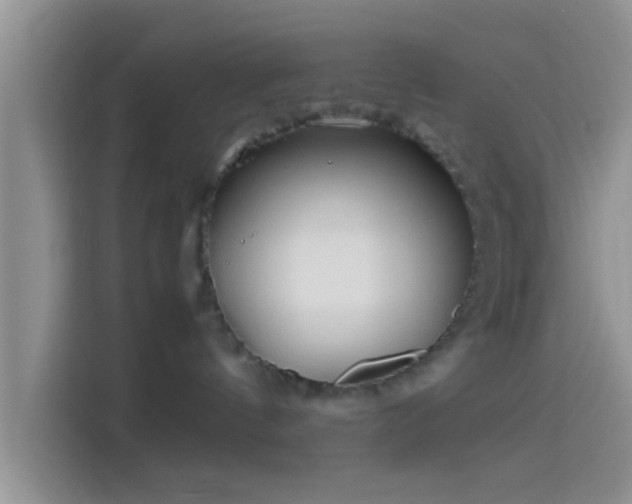 X0000114110144200910131350