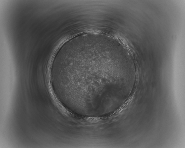 X0000114110145200910131350