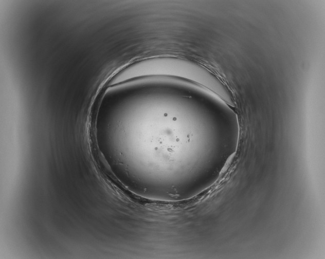 X0000114110146200910131350