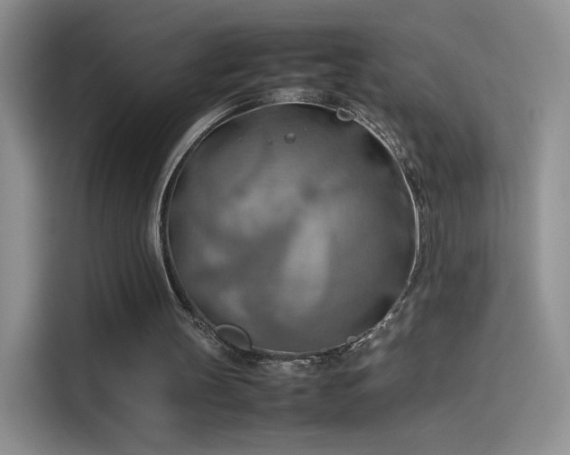 X0000114110147200910131350