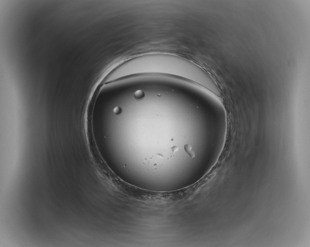 X0000114110148200910131350