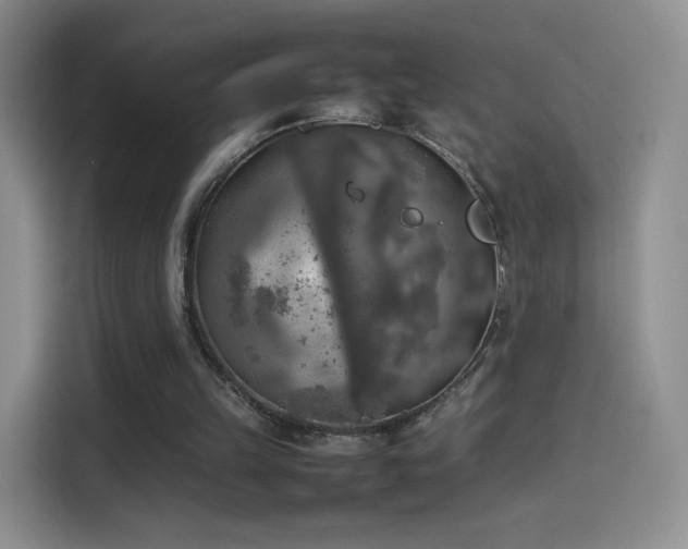 X0000114110149200910131350