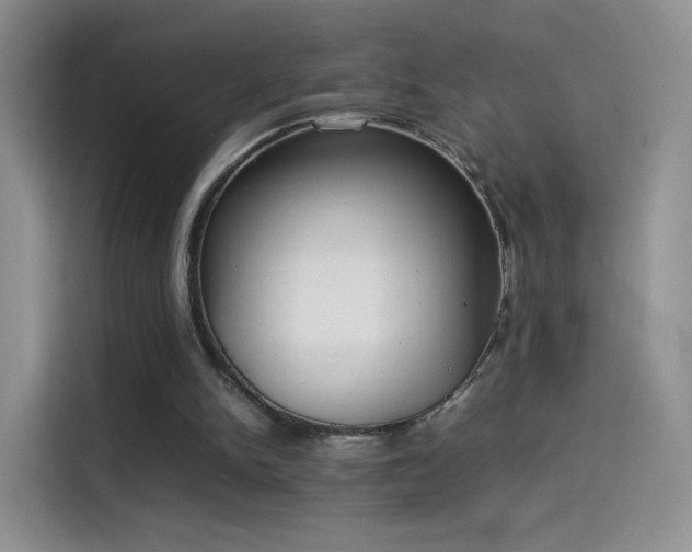 X0000114110150200910131350