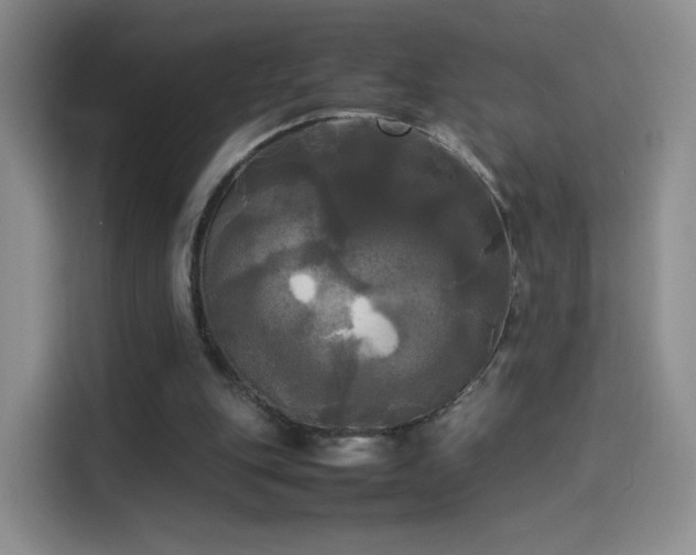 X0000114110151200910131350