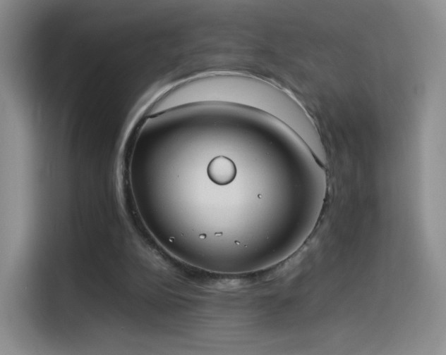 X0000114110152200910131350