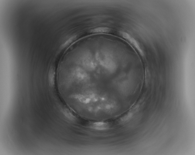 X0000114110153200910131350