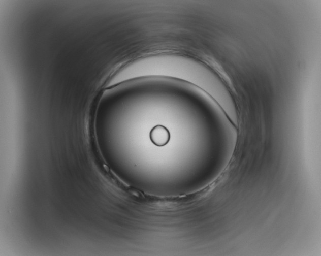 X0000114110154200910131350