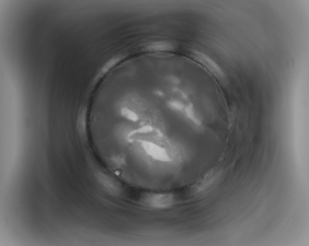 X0000114110155200910131350