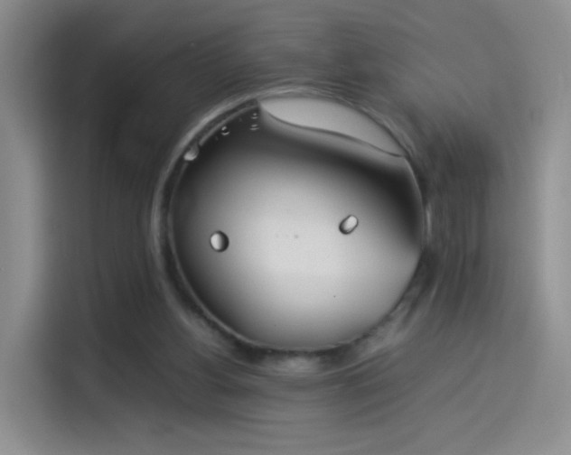 X0000114110156200910131350