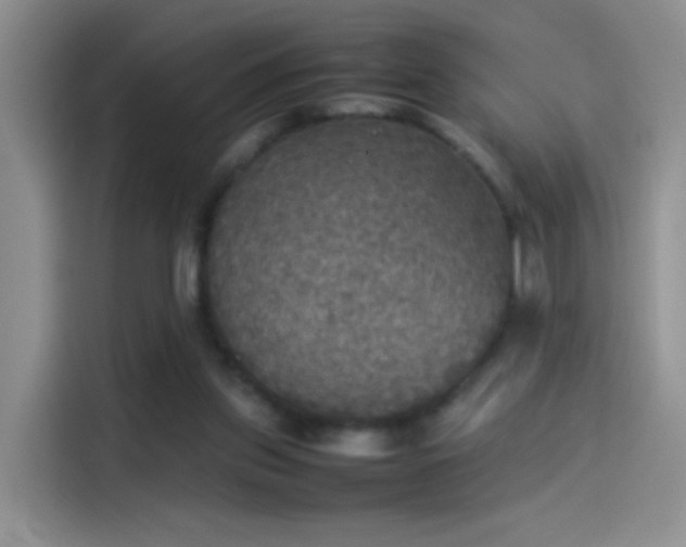 X0000114110157200910131350