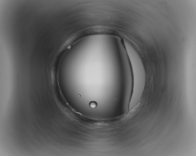 X0000114110158200910131350