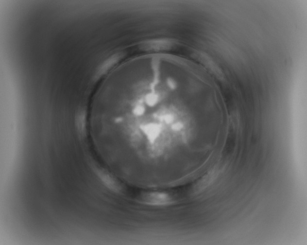 X0000114110159200910131350