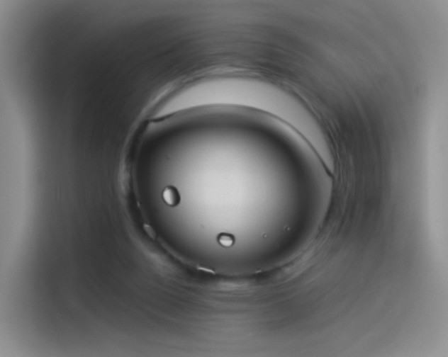 X0000114110160200910131350