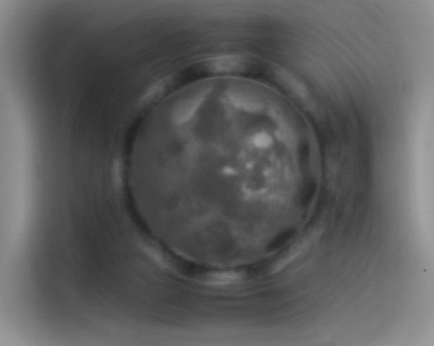 X0000114110161200910131350